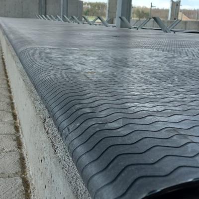 278576077 2245770588909636 9215919198765783707 N