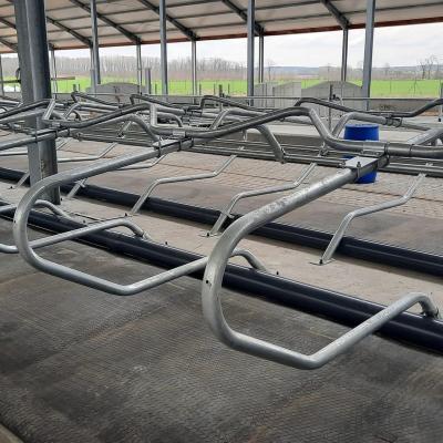 279040811 2245771122242916 9166887995581806329 N