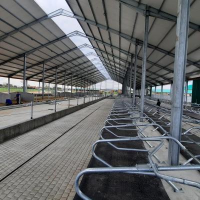 279077769 2245771035576258 2380577751879737237 N