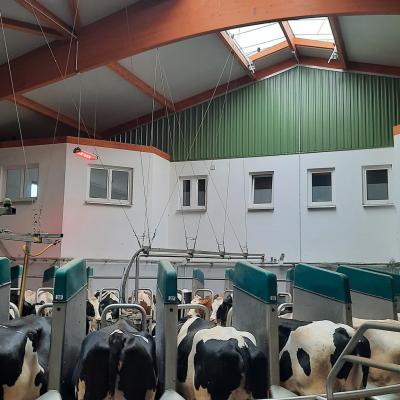 300254505 2335711883248839 2678514259887194378 N