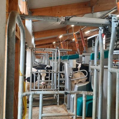 300338522 2335711969915497 8412447006978037619 N