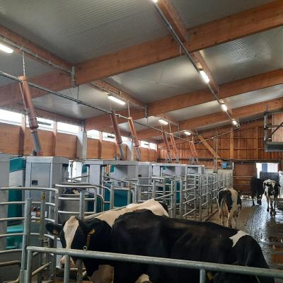 300432993 2335712019915492 8099999337637364956 N