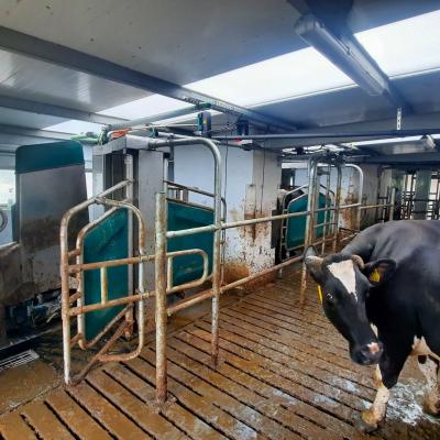 301515514 2340606602759367 7097950285790080600 N