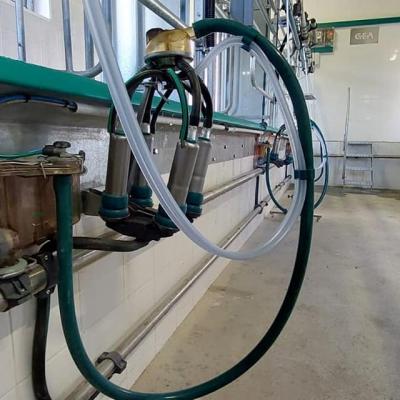 304884154 448454040633148 1928292195460072282 N