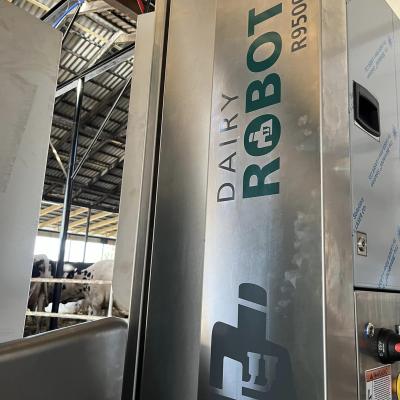 312832255 495755919236293 2098035263569419912 N